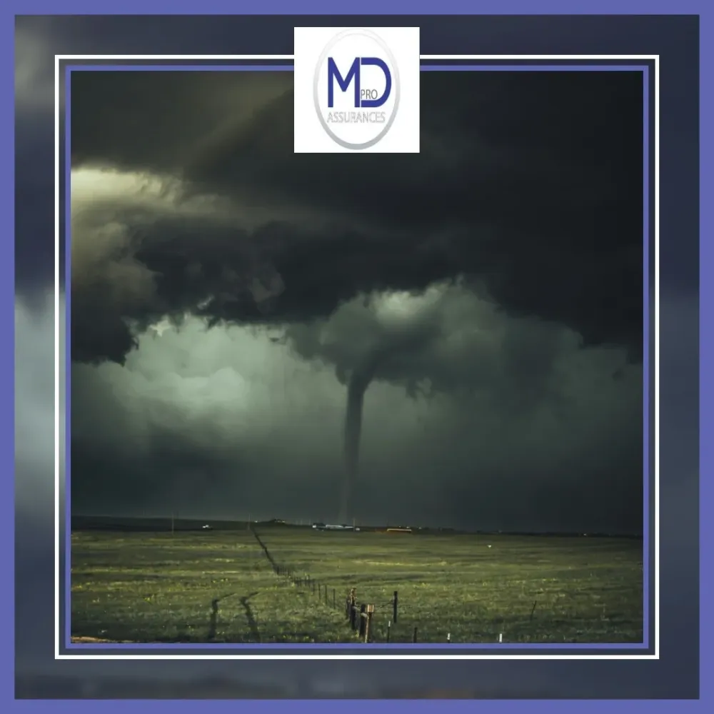 MD Pro Assurances (2)